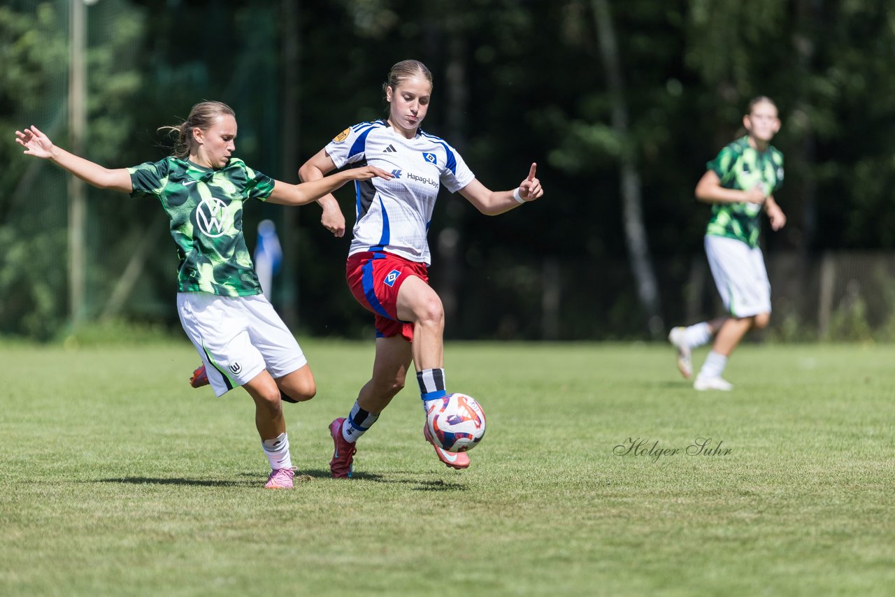 Bild 338 - wBJ Hamburger SV - VfL Wolfsburg : Ergebnis: 5:1